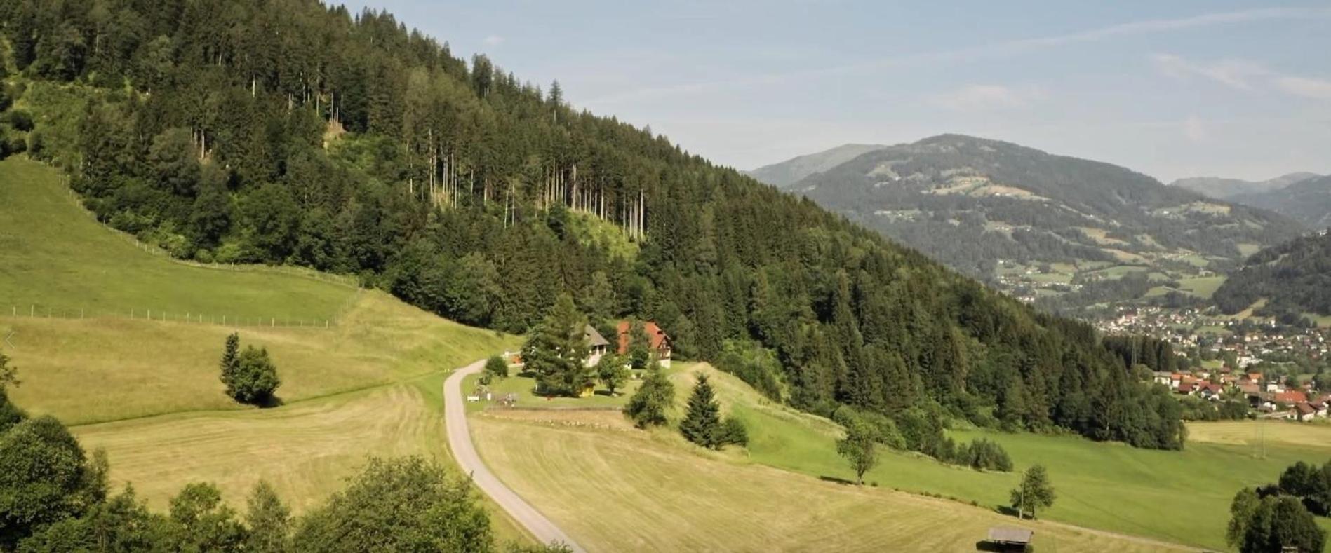 Gasthof Thurnerhof Untertweng Екстер'єр фото