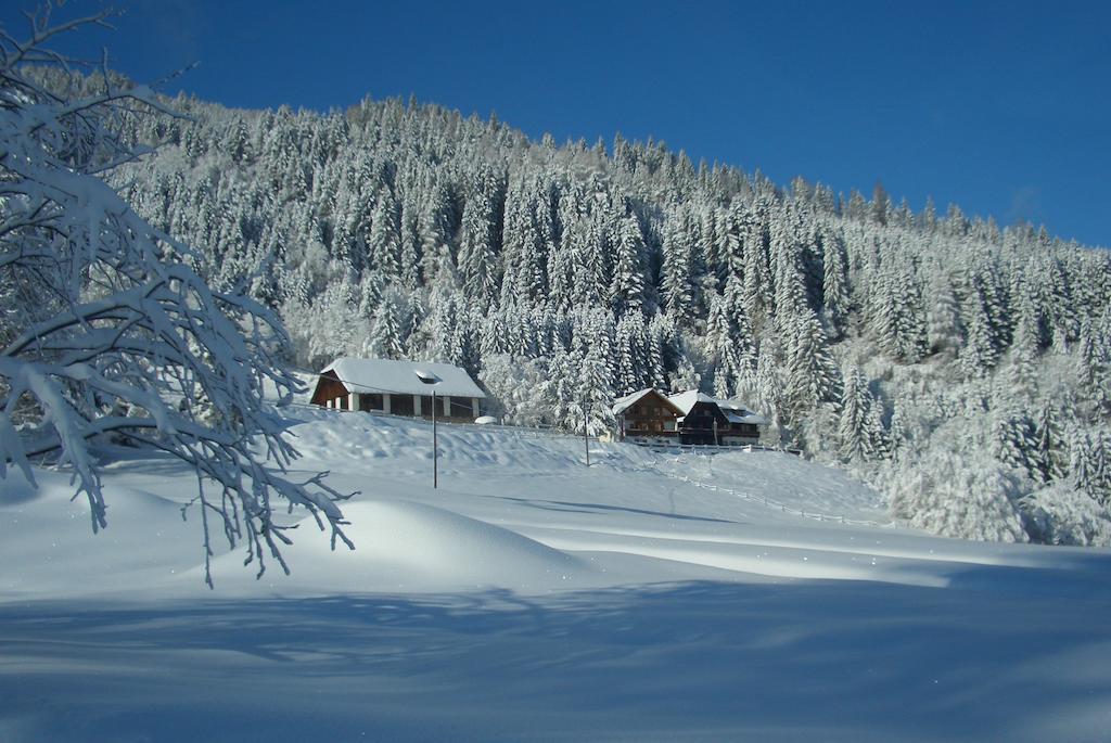 Gasthof Thurnerhof Untertweng Екстер'єр фото
